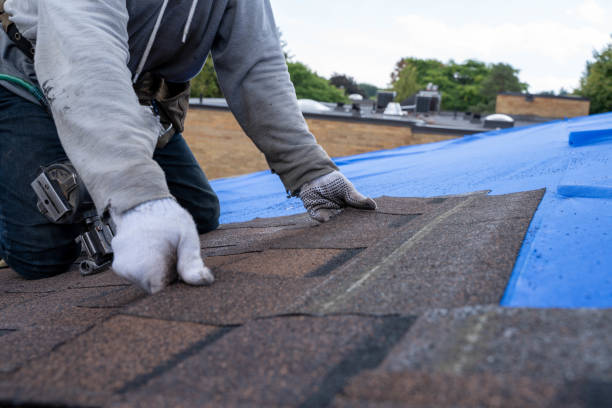 Best New Roof Installation  in South Boston, VA