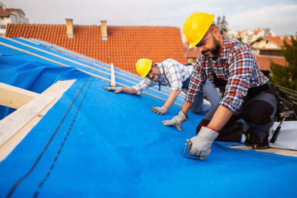 Best Roof Maintenance Services  in South Boston, VA