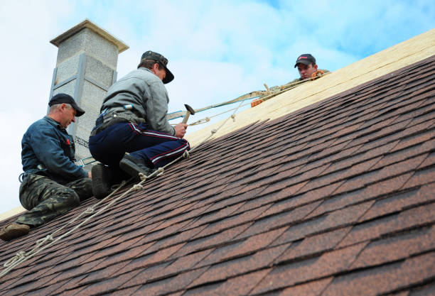 Best Metal Roofing Contractor  in South Boston, VA