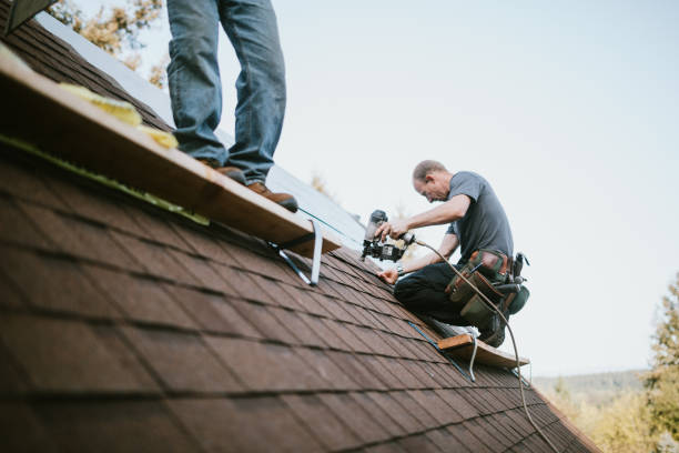 Reliable South Boston, VA Roofing Contractor Solutions